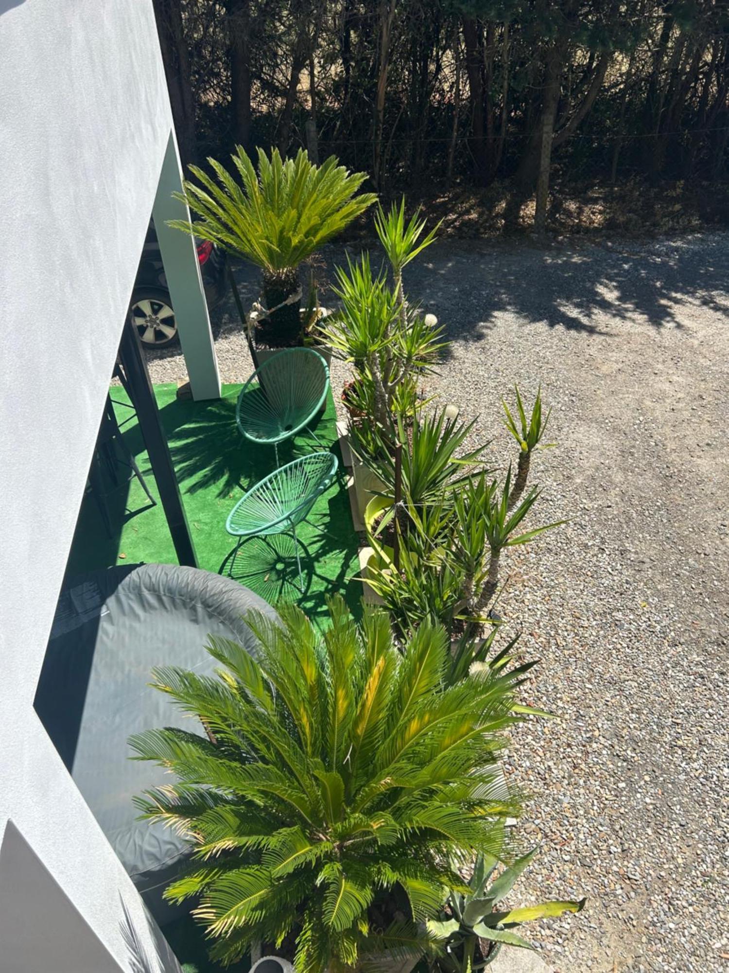 Appart-One Terrasse Jacuzzi Parking Carcassonne Exterior photo